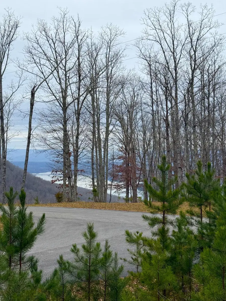 0 Wohalie Lane #Lots 45/45a, South Pittsburg, TN 37380 - Image #2