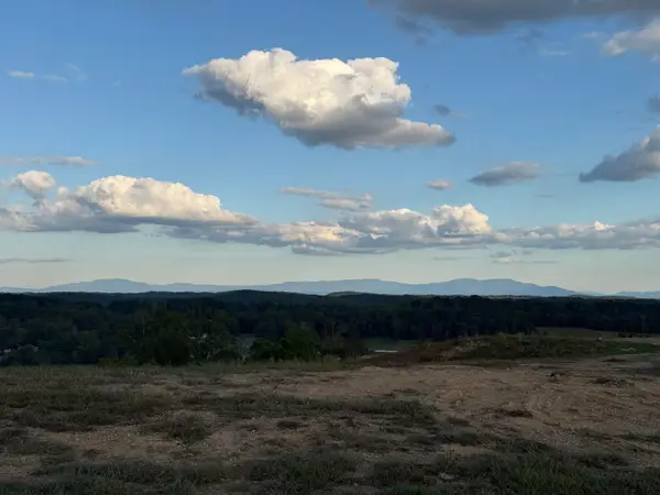 10982 London Tower Place #62, Apison, TN 37302