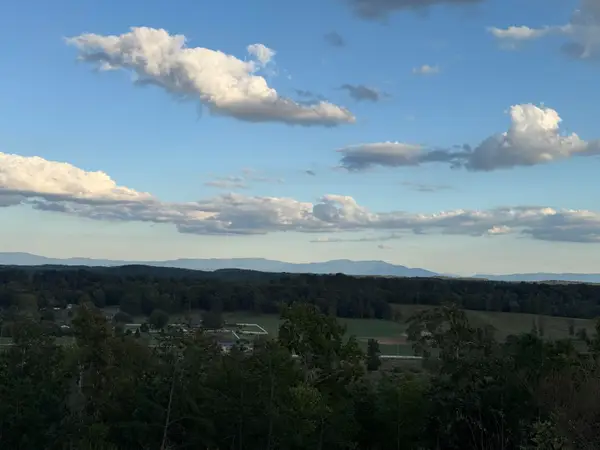 10964 London Tower Place #63, Apison, TN 37302