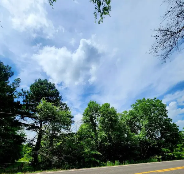 0 River Road #81  8, Decatur, TN 37322