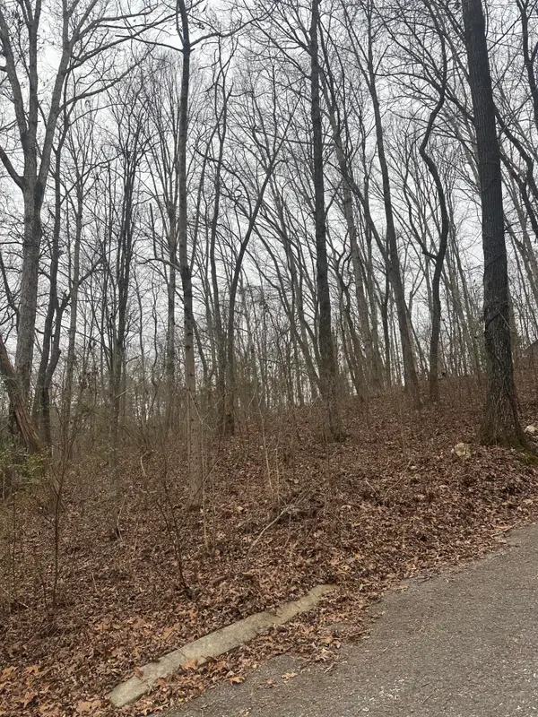 0 Shady Oaks Cv Cove #12, Dunlap, TN 37327