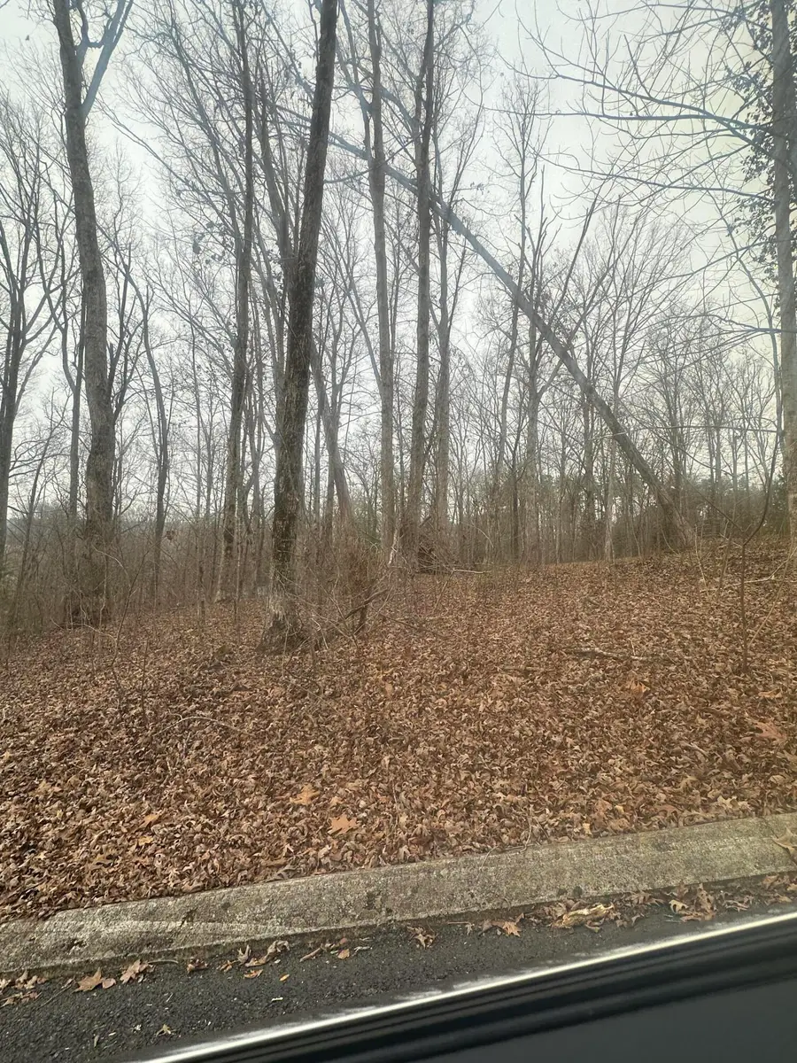0 Shady Oaks Cv Cove #12, Dunlap, TN 37327 - Image #2