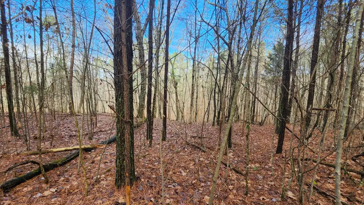 0 Crockett (1.86 Acres) Point #Lot 561, Jasper, TN 37347 - Image #1