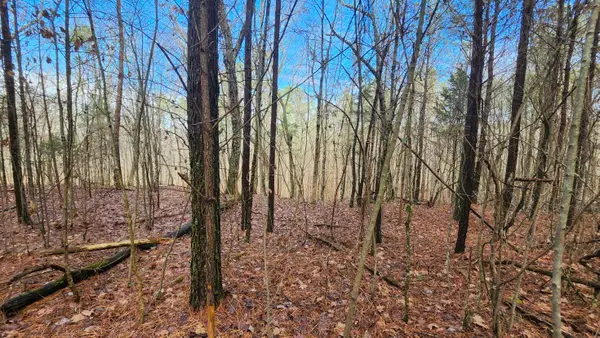 0 Crockett (1.86 Acres) Point #Lot 561, Jasper, TN 37347
