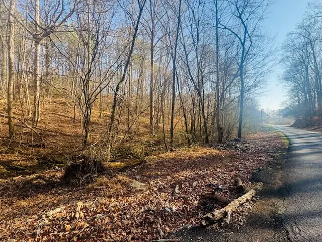 0.75 Acre Rauschenberg Road, Dalton, GA 30721 - Image #1