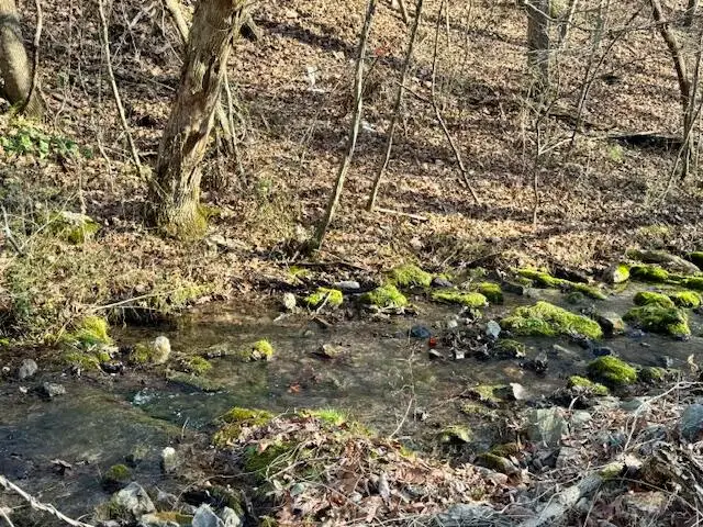 0.75 Acre Rauschenberg Road, Dalton, GA 30721 - Image #3