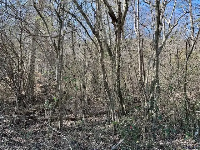 11439 Higdon Street, Soddy Daisy, TN 37379 - Image #1