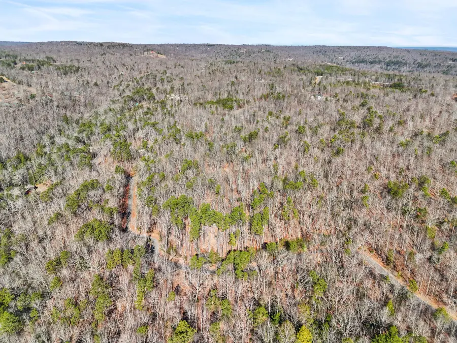 0 Tall Tree Trail #406, Dunlap, TN 37327 - Image #2