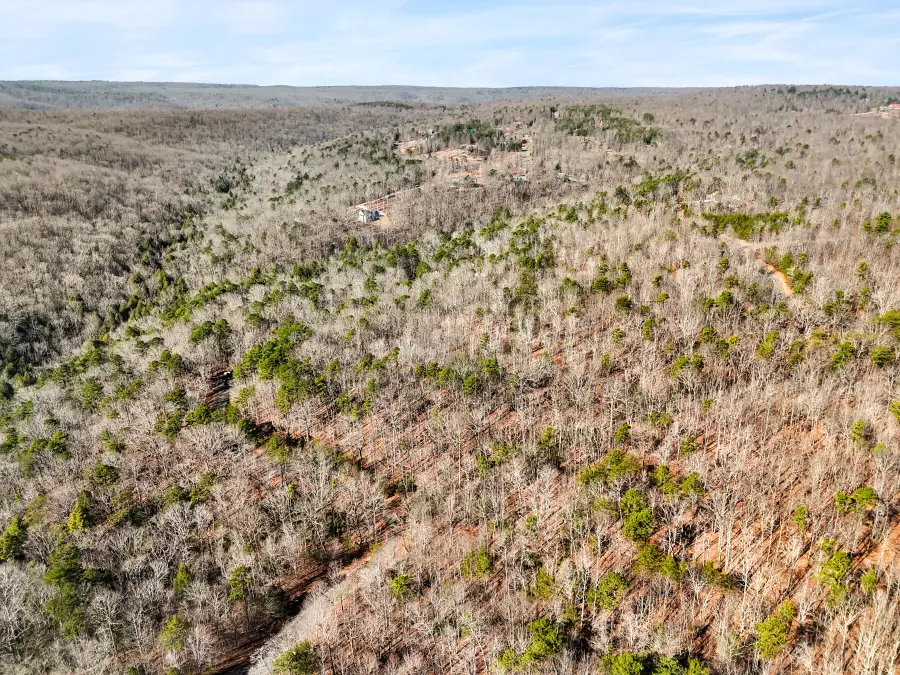 0 Tall Tree Trail #406, Dunlap, TN 37327 - Image #3