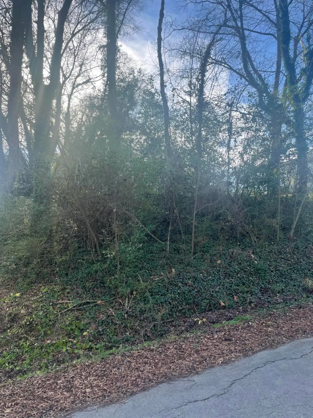 0 Rotary Drive, Chattanooga, TN 37416 - Image #1