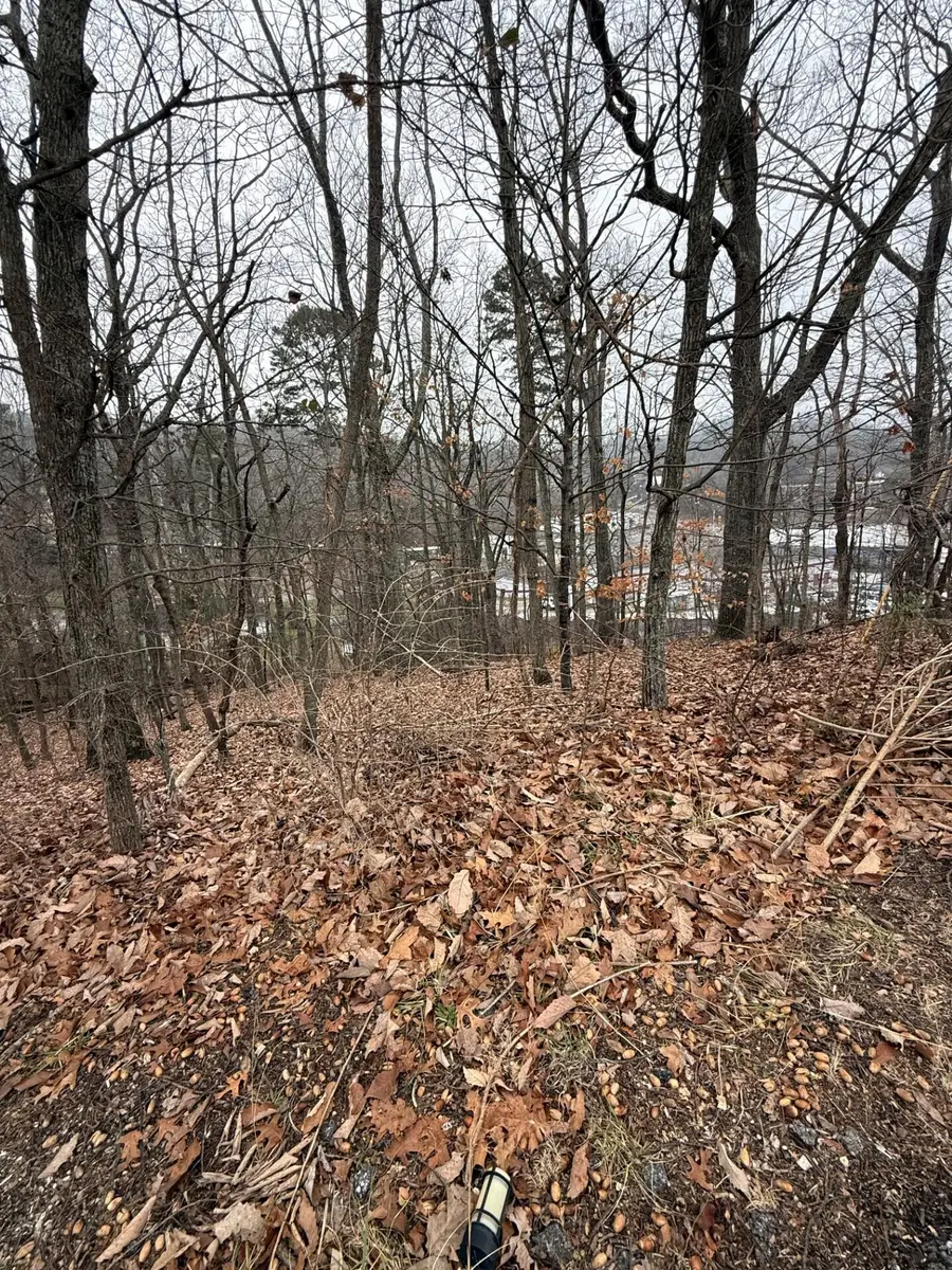 0 Wynnwood Road, Chattanooga, TN 37412 - Image #2