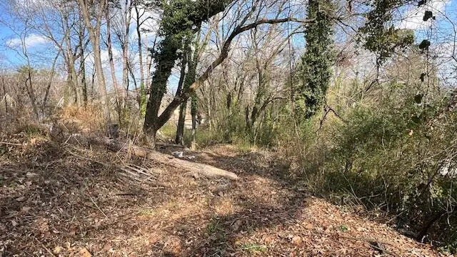 3977 Blanchard Street, Chattanooga, TN 37411 - Image #3