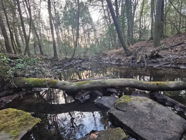 100 Clendenon Road, Spencer, TN 38585