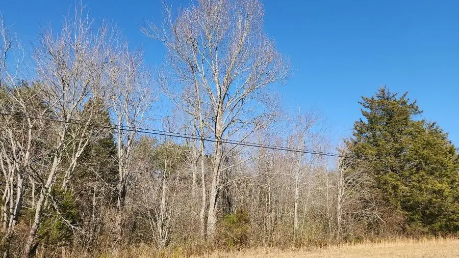 8.03 Joe Groves Road, Pikeville, TN 37367 - Image #3