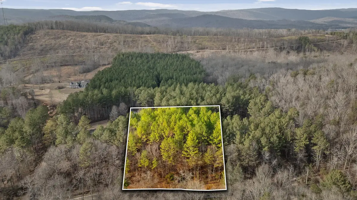 14675 Stormer Road, Sale Creek, TN 37373 - Image #1