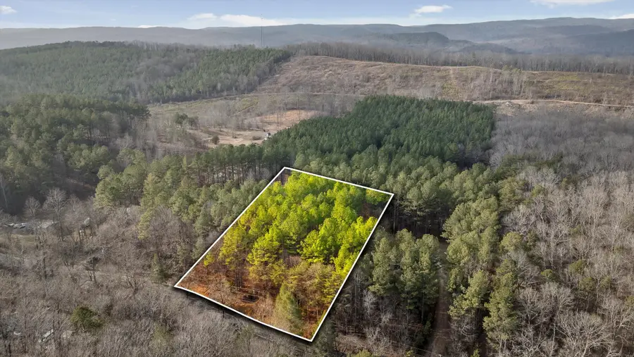 14675 Stormer Road, Sale Creek, TN 37373 - Image #2