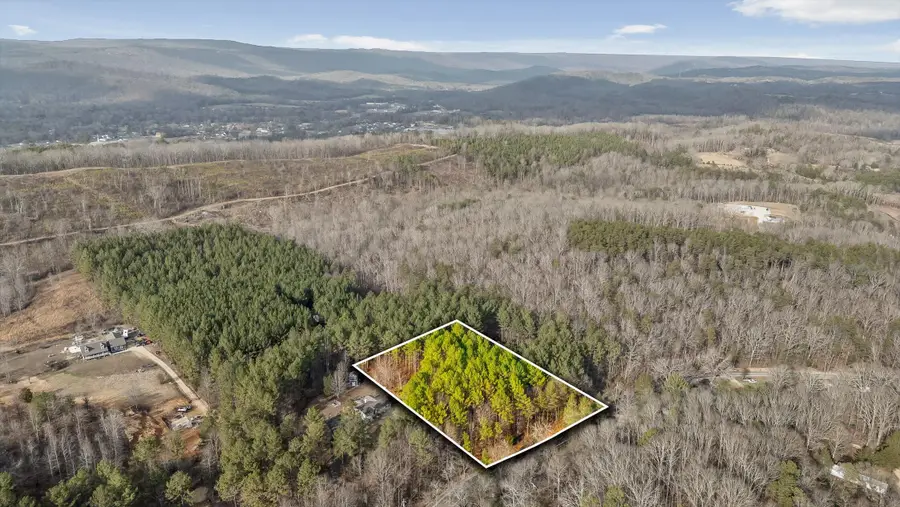 14675 Stormer Road, Sale Creek, TN 37373 - Image #3