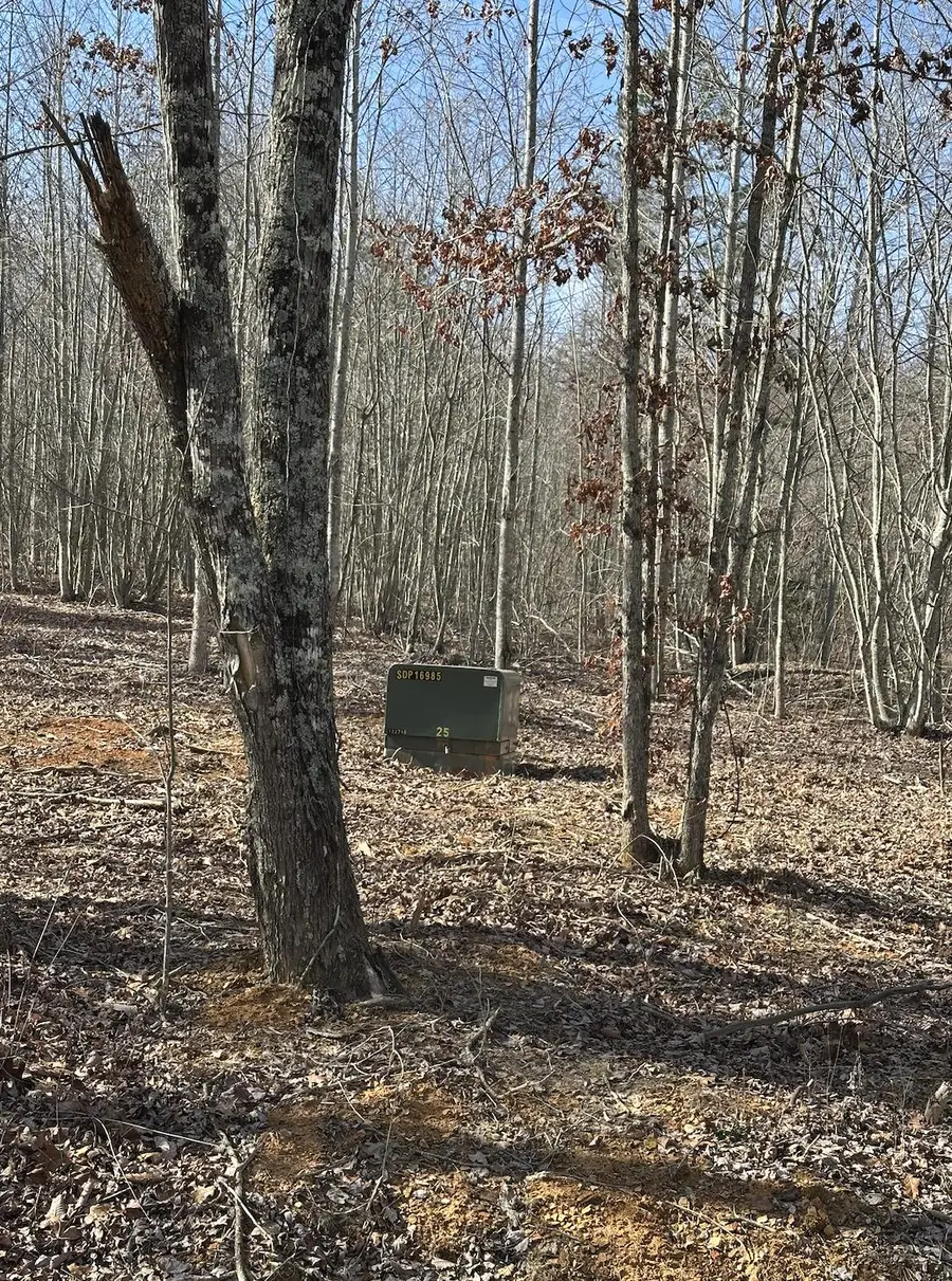 833 Coke Bowman Road, Soddy Daisy, TN 37379 - Image #3