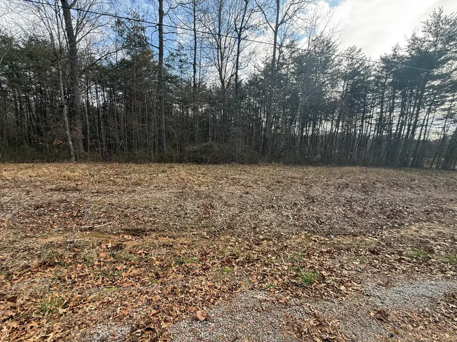 01 County Road #267, Lot 6, Bryant, AL 35958 - Image #3