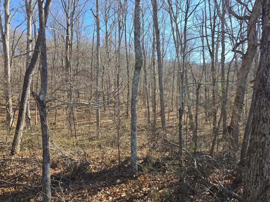 399 Sr Highway, Palmer, TN 37365 - Image #3