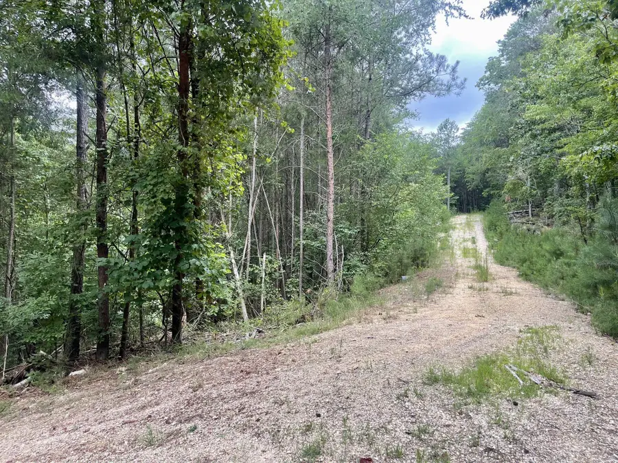 0 White Oak Road, Summerville, GA 30747 - #2