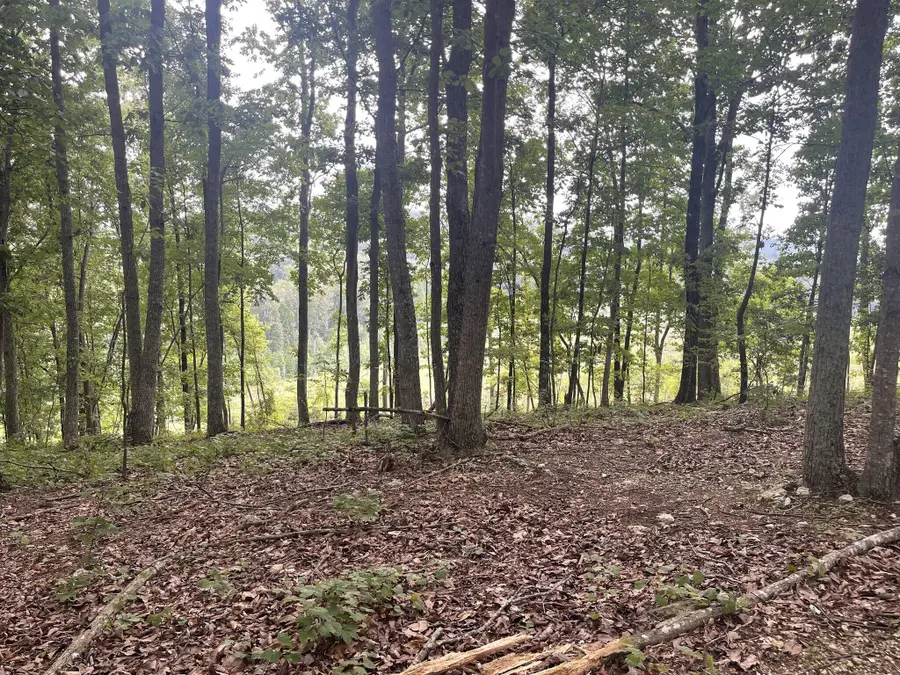 0 White Oak Road, Summerville, GA 30747 - #3