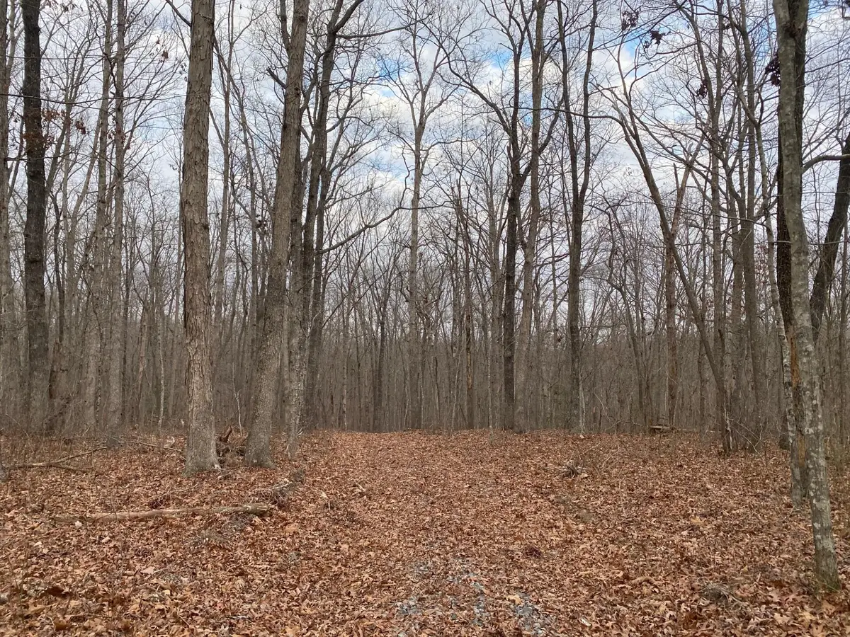 Lot 11 Green Forest, Dunlap, TN 37327 - Image #1