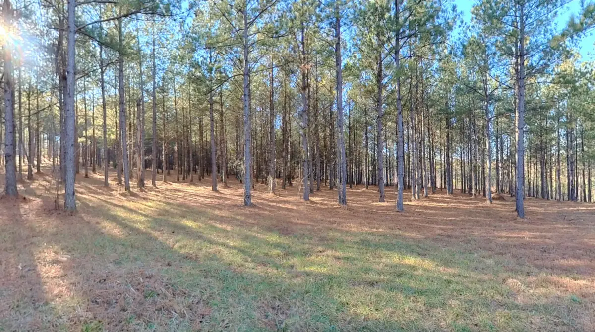 0 Three Gorges Road #Lot 3, Soddy Daisy, TN 37379 - Image #1