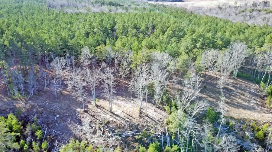 0 Big Soddy Drive #Lot 12, Soddy Daisy, TN 37379 - Image #3