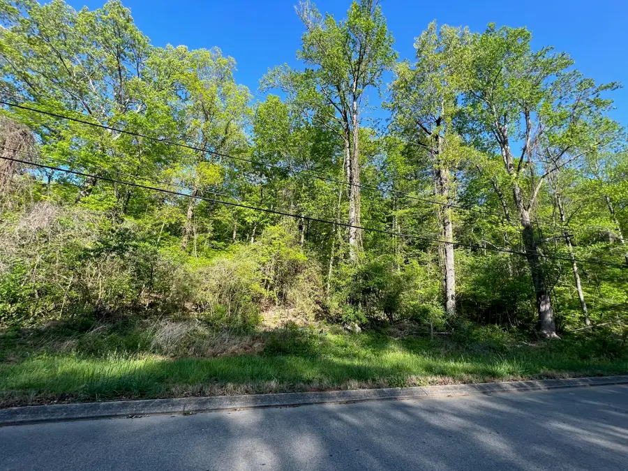 5233 Spalding Drive, Ooltewah, TN 37363 - Image #3