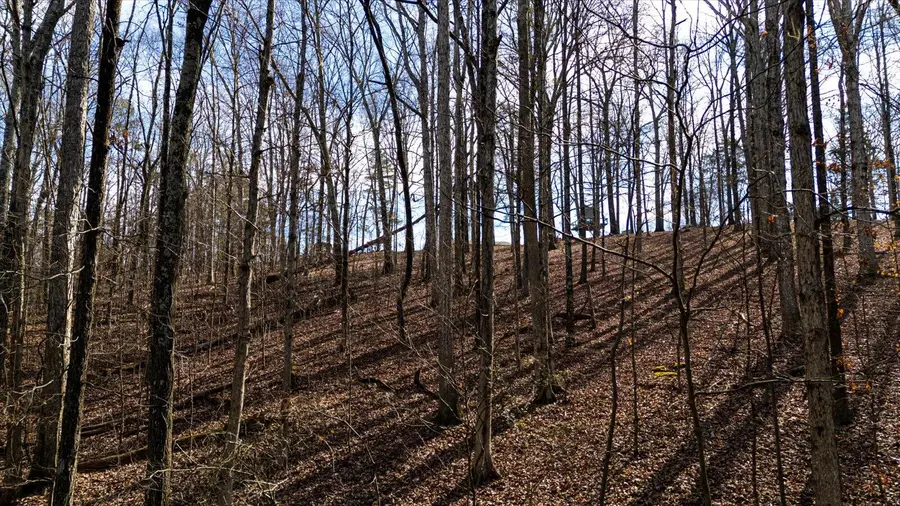 0 Northwest Drive, Charleston, TN 37310 - #3