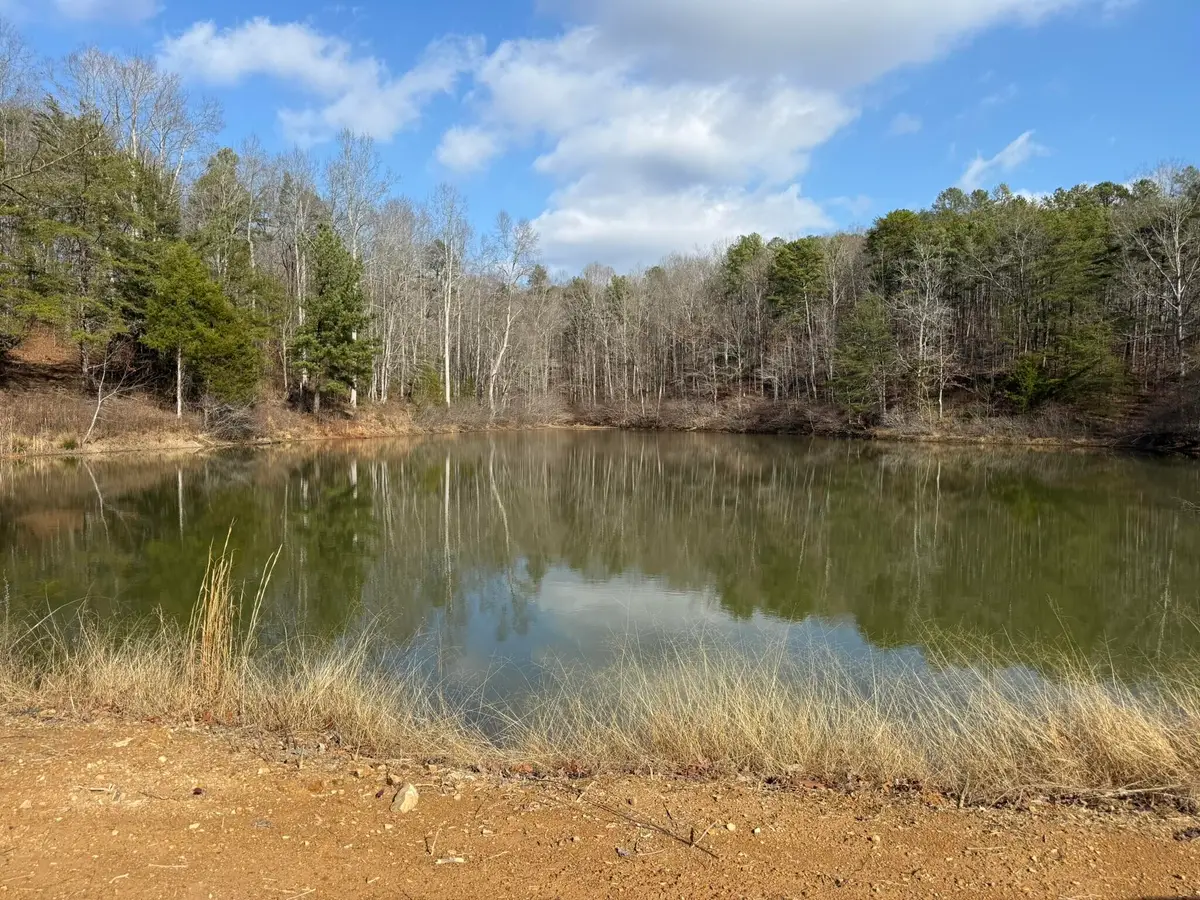 18.75 Ac Grant Rd, Trenton, GA 30752 - Image #1