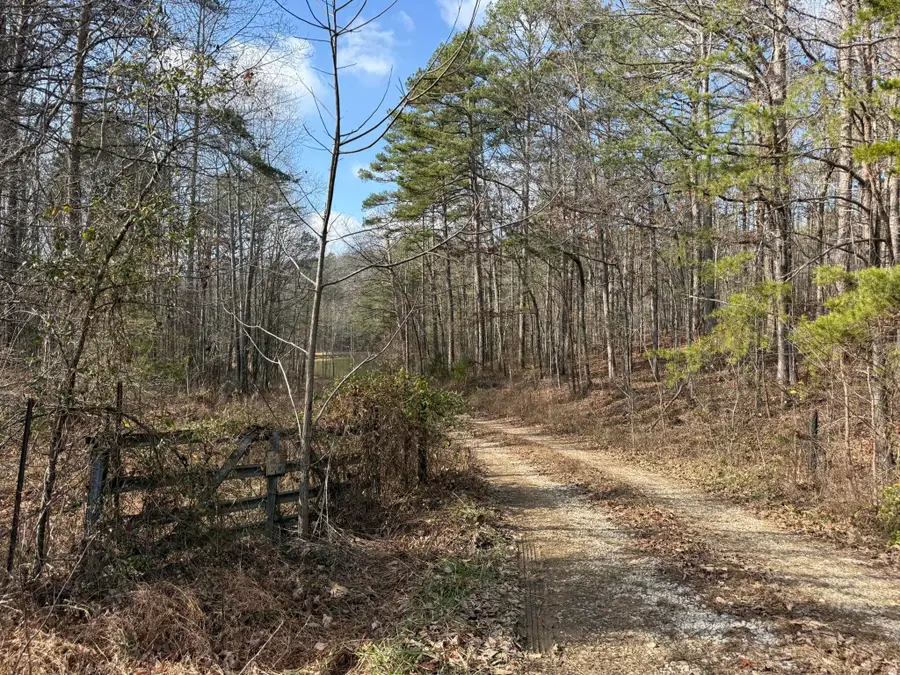 18.75 Ac Grant Rd, Trenton, GA 30752 - Image #2