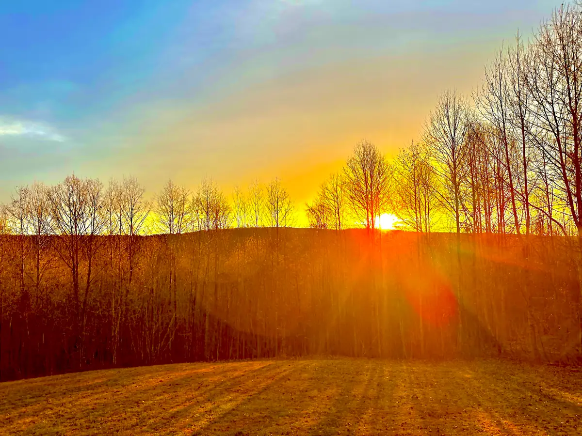 967 Walden Drive, Signal Mountain, TN 37377 - Image #1