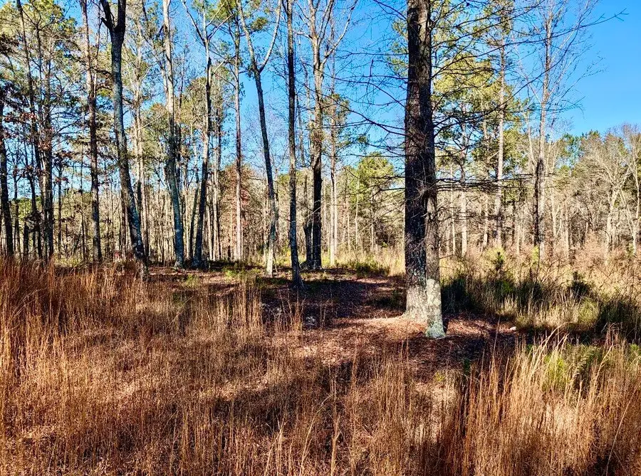 8 Lewis Barrett Boulevard Ne, Rome, GA 30161 - Image #3