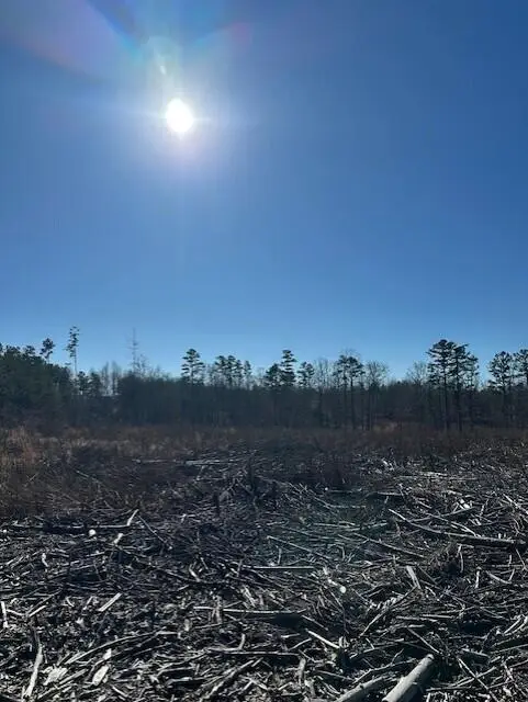 Tract 1 50th Avenue #Tract 1, Gruetli Laager, TN 37339 - #1