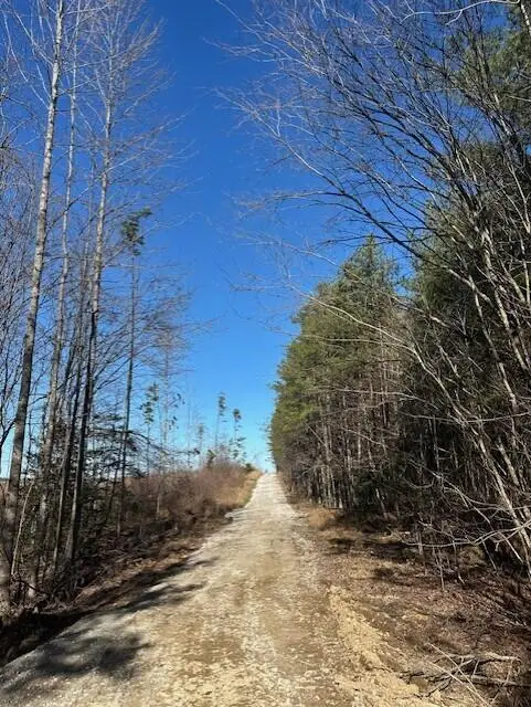 Tract 1 50th Avenue #Tract 1, Gruetli Laager, TN 37339 - #3