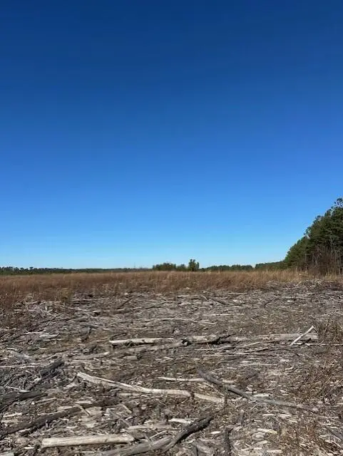 Tract 2 50th Avenue #Tract 2, Gruetli Laager, TN 37339