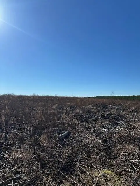 Tract 4 50th Avenue #Tract 4, Gruetli Laager, TN 37339