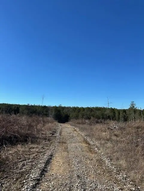 Tract 5 50th Avenue #Tract 5, Gruetli Laager, TN 37339 - #2