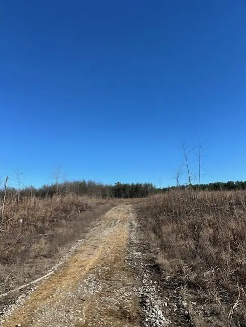 Tract 5 50th Avenue #Tract 5, Gruetli Laager, TN 37339 - #3