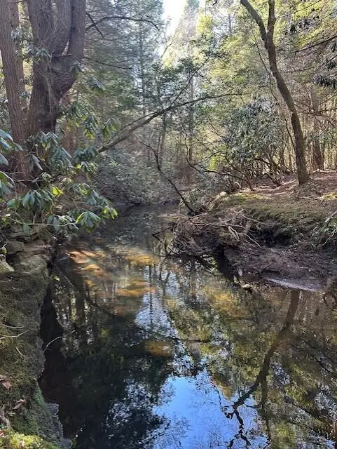 Tract 6 50th Avenue #Tract 6, Gruetli Laager, TN 37339 - #2