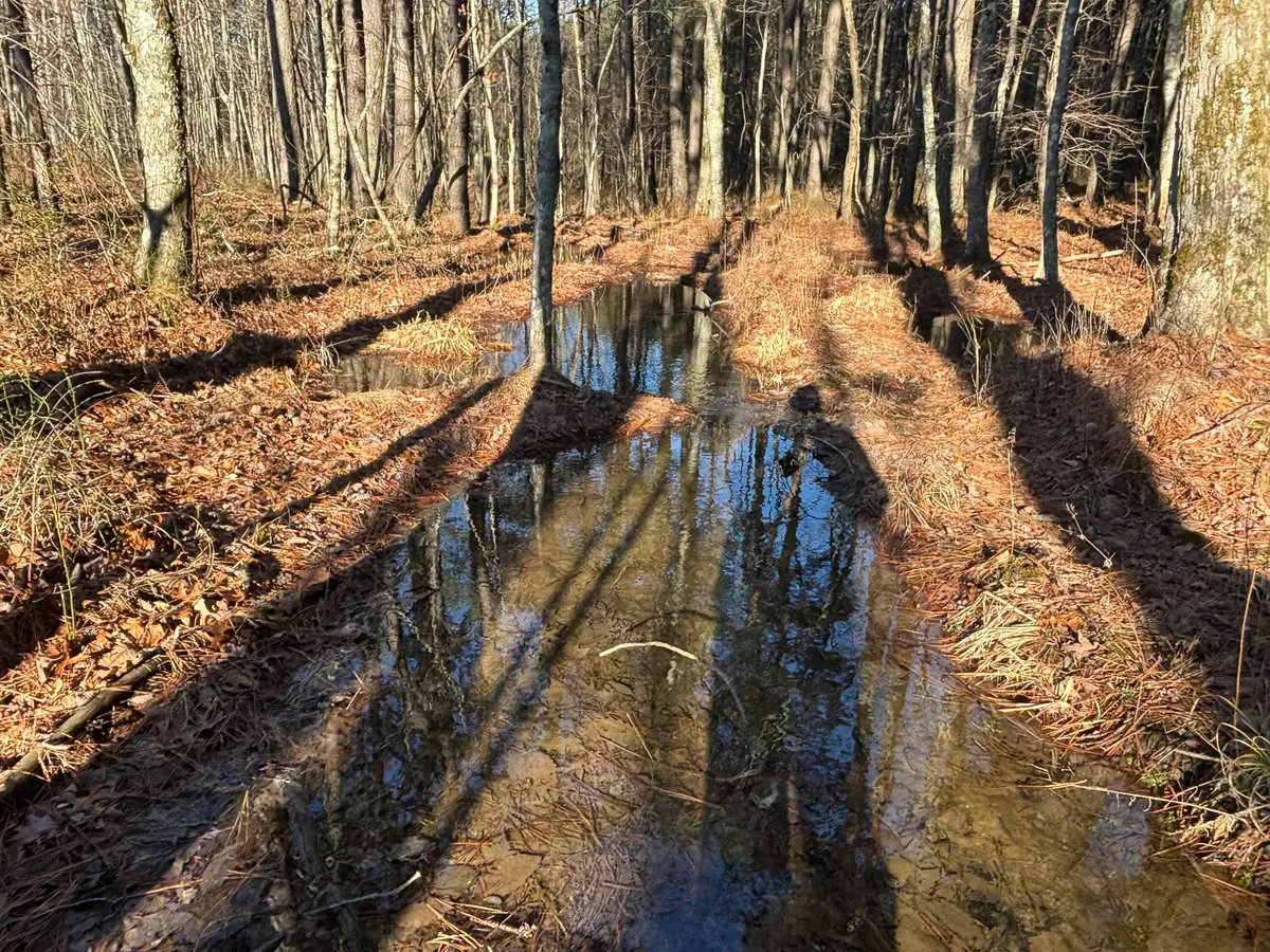 12 Fredonia Road, Dunlap, TN 37327 - Image #1