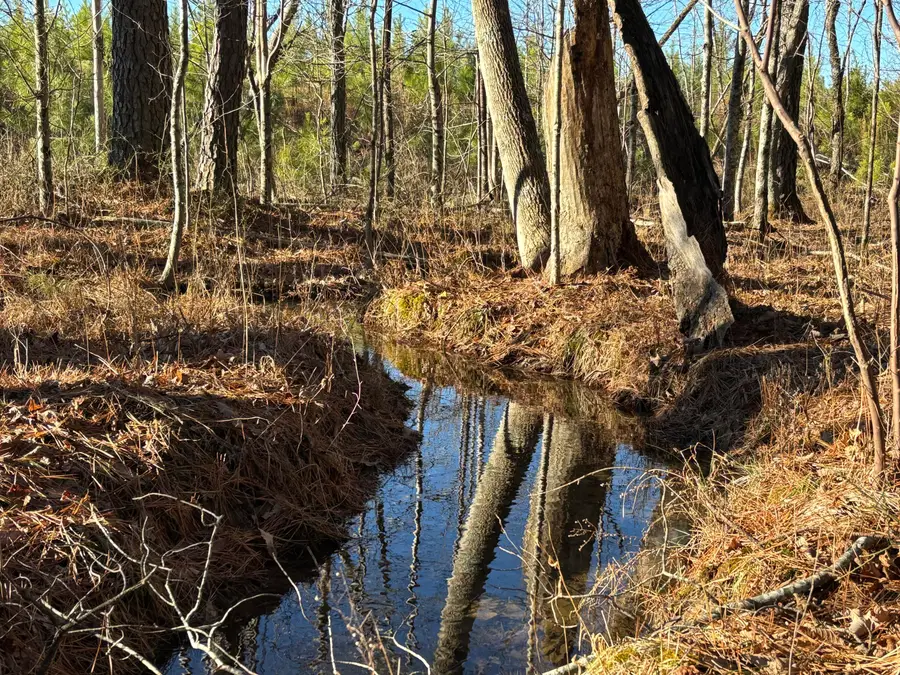 12 Fredonia Road, Dunlap, TN 37327 - Image #2