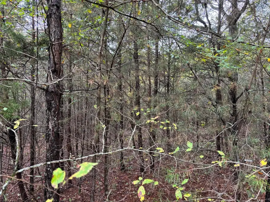 3 Countryside Drive, Dunlap, TN 37327 - Image #3