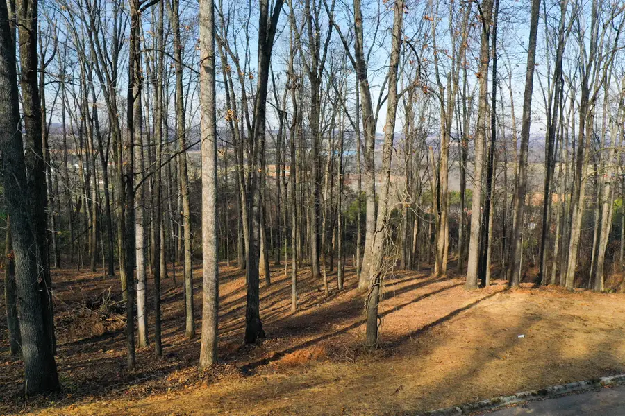00 Lot 10 Poplar Drive, Sweetwater, TN 37874 - #3