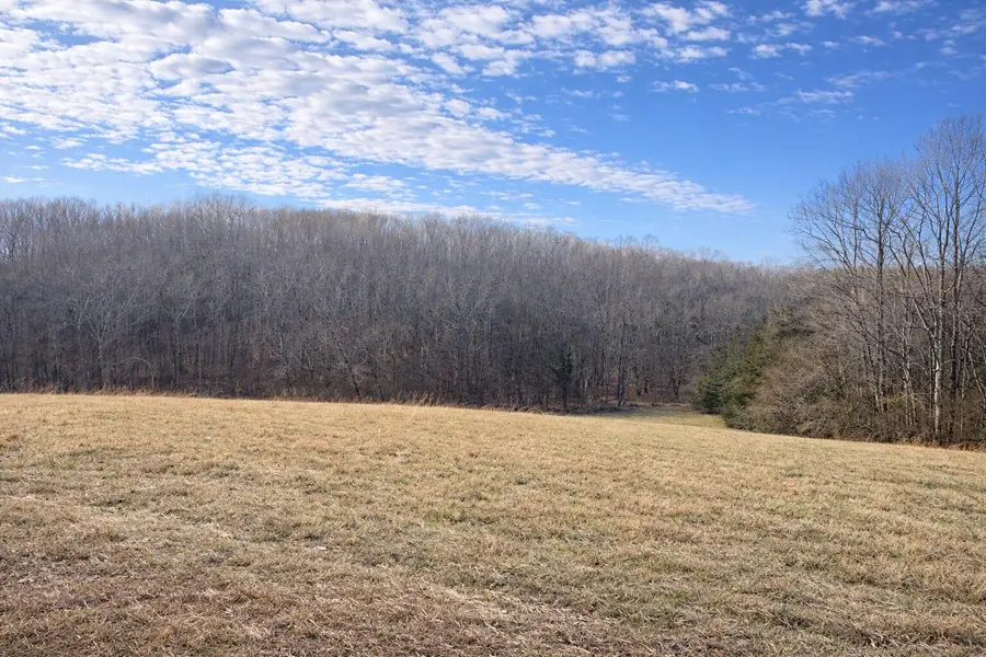 7630 Strawberry Estates Drive, Georgetown, TN 37336 - Image #2