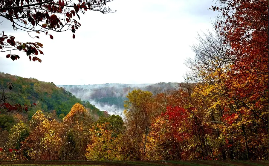 2318 Little Bend Road, Signal Mountain, TN 37377 - Image #3