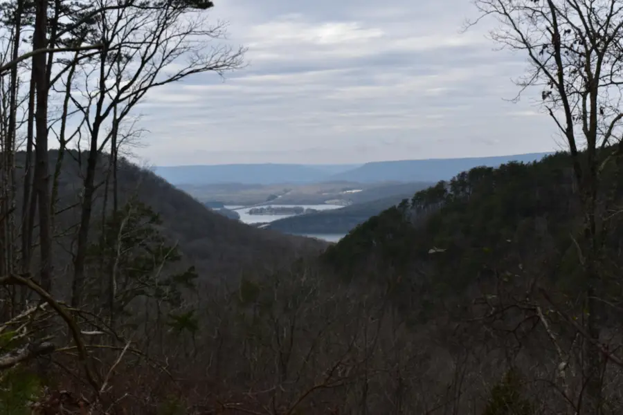 1075 Birds Eye Way #Lot 1075, Guild, TN 37340 - Image #2