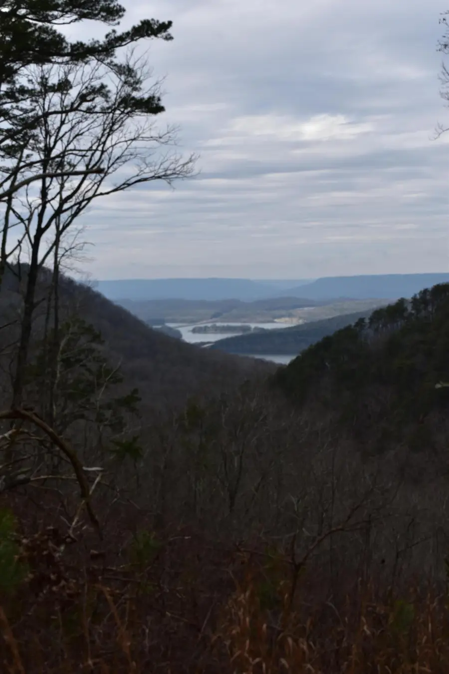 1075 Birds Eye Way #Lot 1075, Guild, TN 37340 - Image #3